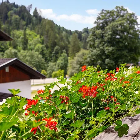 Zellner 3 Alpbach